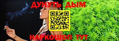 сатива Будённовск