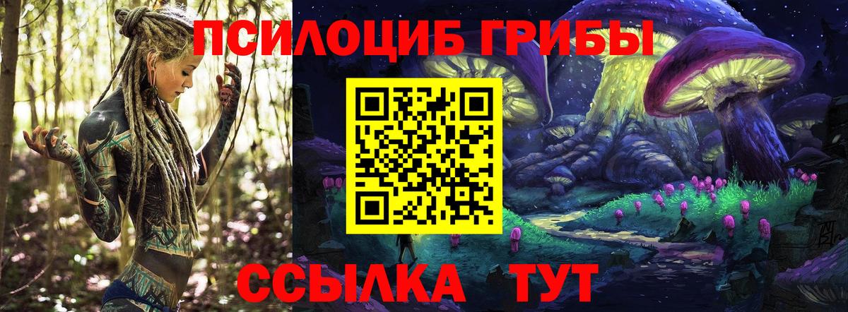 Псилоцибиновые грибы MAGIC MUSHROOMS  Вход с VPN  где купить наркоту  Рославль 